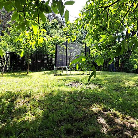 Casa De Vacanta Zsenik Vendeghaz Sovata Exterior foto