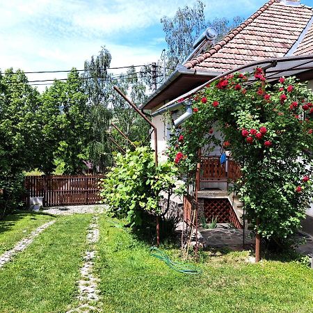 Casa De Vacanta Zsenik Vendeghaz Sovata Exterior foto