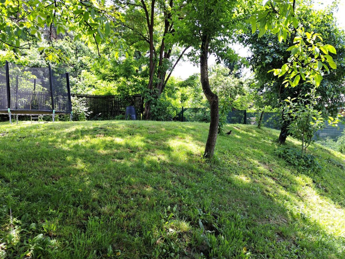 Casa De Vacanta Zsenik Vendeghaz Sovata Exterior foto