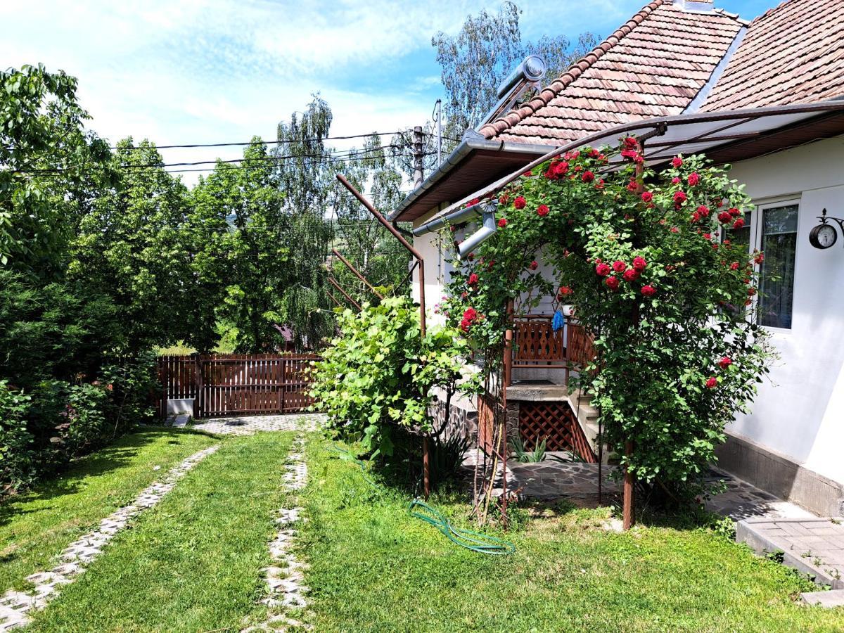 Casa De Vacanta Zsenik Vendeghaz Sovata Exterior foto